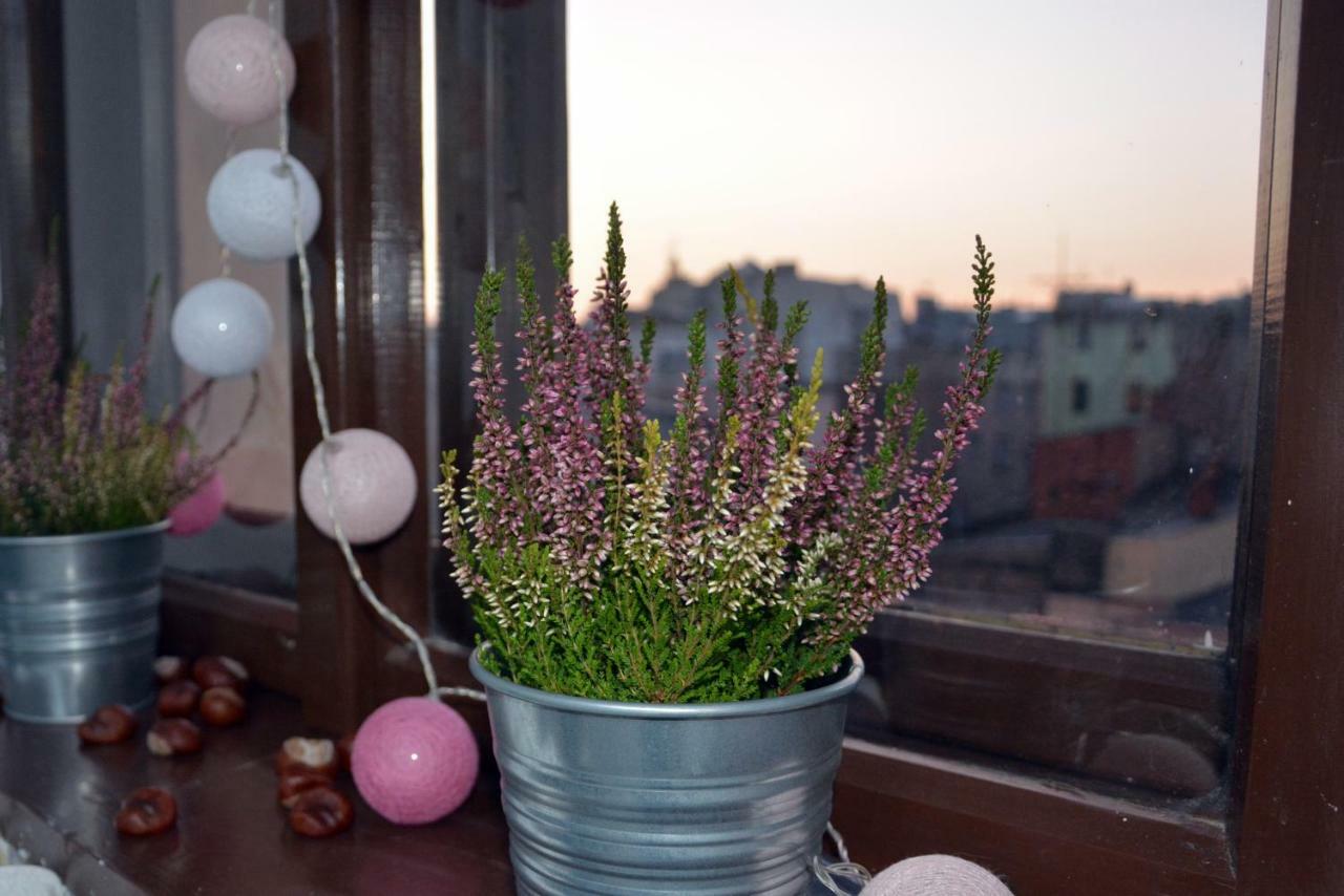 Apartament Bartolomeo Stary Toruń 外观 照片
